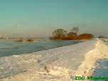 hw030107_06.jpg